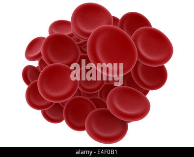 Cellule di sangue rosso isolato su bianco Foto Stock