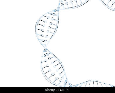 Vetro modello di DNA isolato su sfondo bianco Foto Stock