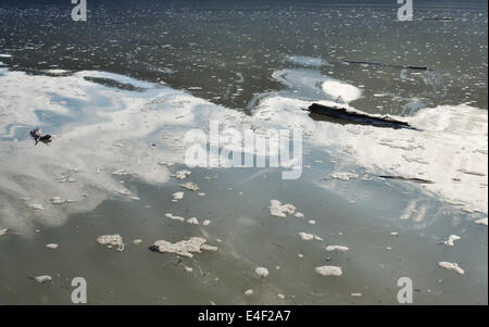 Floating pezzi di legno su terreni fangosi acqua di inondazione con cloud riflessioni. Foto Stock