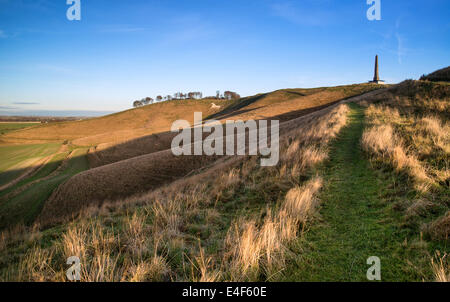 Meravigliose paesaggio di antiche chalk White Horse in collina a Cherhill nel Wiltshire, Inghilterra durante la serata di autunno Foto Stock