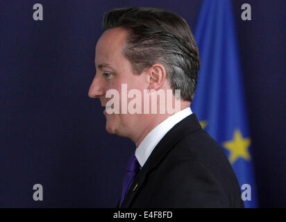 Un profilo del primo ministro britannico David Cameron, al Vertice G7 , bruxelles, Belgio 2014 Foto Stock