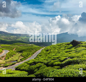 Il Kerala India sullo sfondo di viaggio - strada in verde le piantagioni di tè in montagne in Munnar Kerala, India Foto Stock