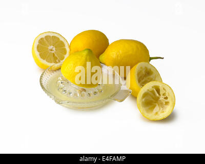 Limoni spremitore & Foto Stock