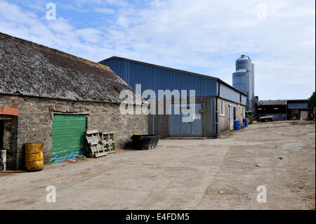 Farm yard in organic Dairy Farm, Pembrokeshire, Wales, Regno Unito Foto Stock