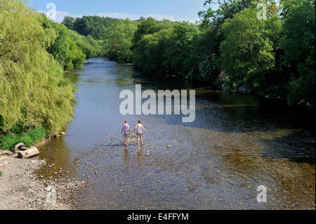 Fiume Cothi vicino Cothi Bridge, Carmarthenshire, West Wales, Regno Unito Foto Stock