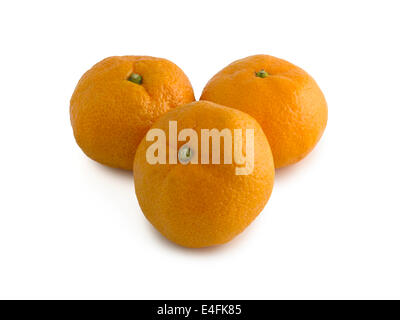 Satsuma Foto Stock