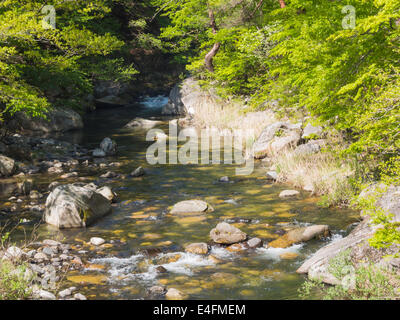 Shosenkyo Gorge nel fresco verde in Kofu, Yamanashi, Giappone Foto Stock