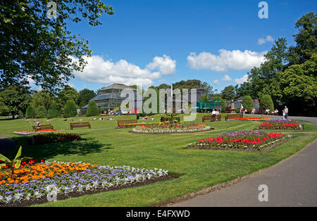 Glasgow Botanic Gardens Great Western Road, Glasgow Scozia Scotland Foto Stock