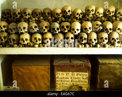 Teschi nella cripta sotto la pavimentazione della Cattedrale di Lima - Perù Foto Stock