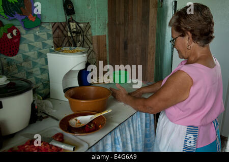 Donna locale al pollo, preparando il pranzo. Cahuita riserva naturale. Talamanca, Costa Rica. America centrale. Foto Stock