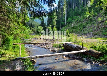 Brook nelle montagne dei Carpazi, Ucraina Foto Stock