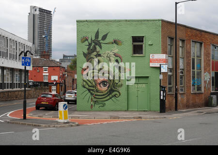 Street art su muro di costruzione in Sheffield Inghilterra Foto Stock