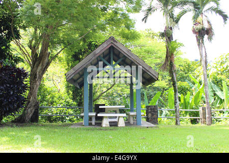 Gazebo in legno per il relax nella foresta Foto Stock