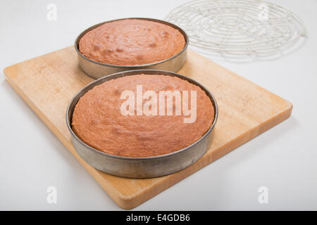 2 Victoria torte a base di pan di spagna in teglie impostata sul pannello di legno [paese] "valorizzare una torta" ( 13 di 44) Foto Stock