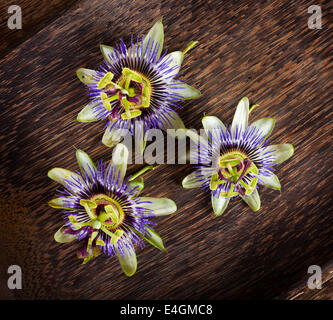 Passiflora caerulea, fiore di passiflora su un tavolo di legno. Foto Stock