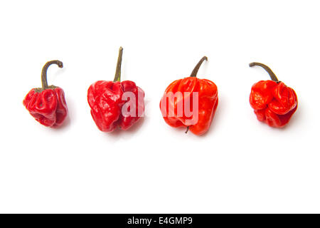 Scotch Bonnet il peperoncino o dei Caraibi peperoni isolato su un bianco di sfondo per studio. Foto Stock