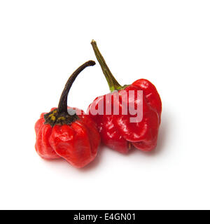 Scotch Bonnet il peperoncino o dei Caraibi peperoni isolato su un bianco di sfondo per studio. Foto Stock