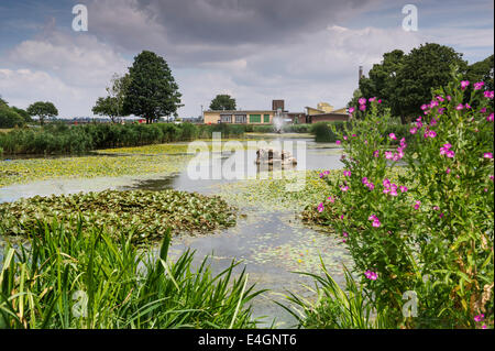 Il Riverside Zona per il tempo libero a Gravesend. Foto Stock