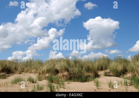 Cumulus nubi su marram erba e dune di sabbia Ginst punto Pendine Carmarthenshire Foto Stock