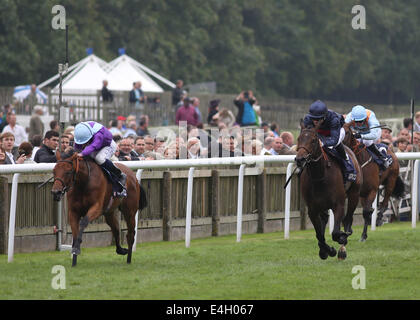 Newmarket, Regno Unito. 11 Luglio, 2014. Moet and Chandon Luglio Festival, QUIPCO Sciur giorno. Arabian Regina sotto Ryan Moore conquistando la Duchessa di Cambridge picchetti. Credito: Azione Sport Plus/Alamy Live News Foto Stock