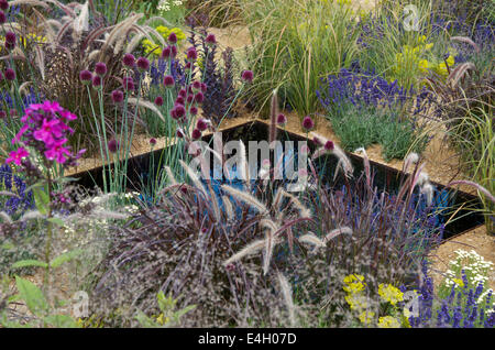 L'uno show Giardino con Alexandra nobile ad RHS Hampton Court Palace Flower Show 2014- vista di piantagione e piscine Foto Stock