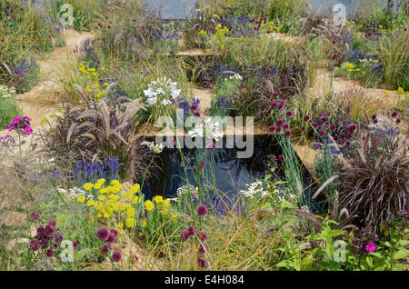 L'uno show Giardino con Alexandra nobile ad RHS Hampton Court Palace Flower Show 2014- vista di piantagione e piscine Foto Stock