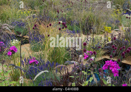 L'uno show Giardino con Alexandra nobile ad RHS Hampton Court Palace Flower Show 2014- vista di piantagione Foto Stock