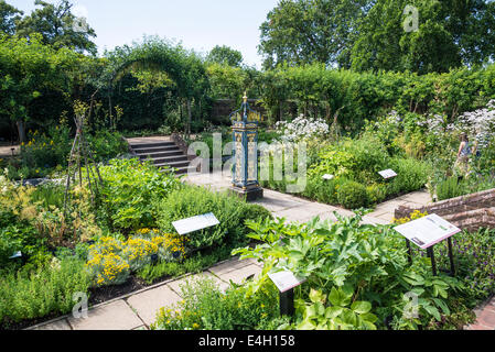 Piante medicinali in Queen's Garden, Kew Palace e Kew Royal Botanic Gardens, London, Regno Unito Foto Stock