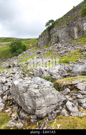 Erosione calcarea sopra Swaledale, Yorkshire Dales National Park, England, Regno Unito Foto Stock