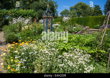 Piante medicinali in Queen's Garden, Kew Palace e Kew Royal Botanic Gardens, London, Regno Unito Foto Stock