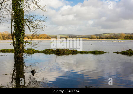 Inverno tempeste e inondazioni influiscono Arundel in West Sussex. Foto Stock