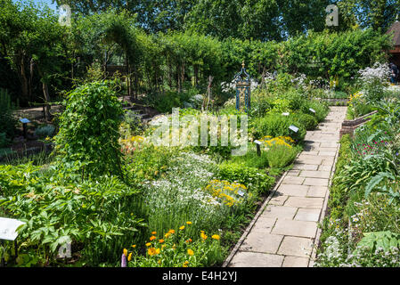 Piante medicinali in Queen's Garden, Kew Palace e Kew Royal Botanic Gardens, London, Regno Unito Foto Stock