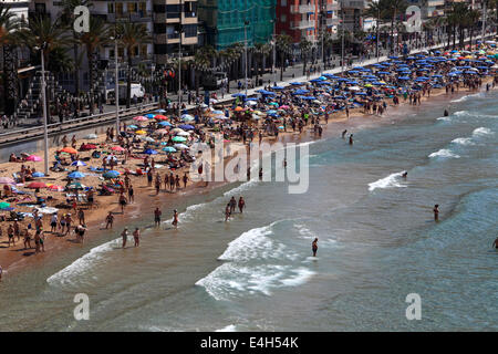 Vista lungo la Playa de Levante beach resort Benidorm, Costa Blanca, provincia di Valencia, Spagna, Europa. Foto Stock