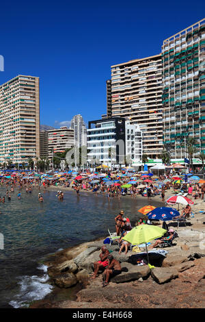 Vista lungo la Playa de Levante beach resort Benidorm, Costa Blanca, provincia di Valencia, Spagna, Europa. Foto Stock