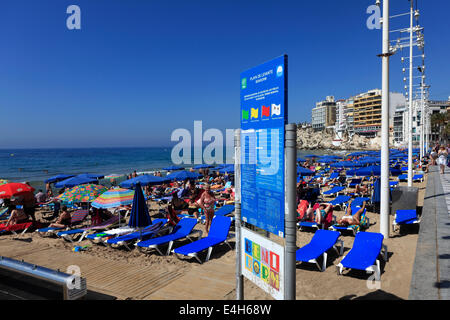 Vista lungo la Playa de Levante beach resort Benidorm, Costa Blanca, provincia di Valencia, Spagna, Europa. Foto Stock