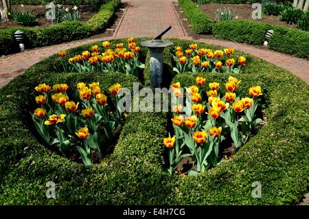 Alexandria, Virginia: Tulipani circondano un orologio solare a knot garden nello storico Carlyle casa costruita tra il 1752-53 Foto Stock