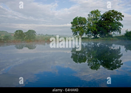 Gli alberi si riflette ancora in acqua di un lago, con nebbia di salita . Foto Stock