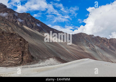 Le dune di sabbia in Himalaya. Hunder, Valle di Nubra, Ladakh, India Foto Stock