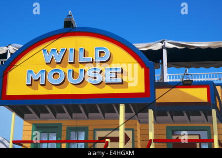 Topo selvatico rollercoaster ride al Luna Park,Milsons Point,Sydney , Australia Foto Stock