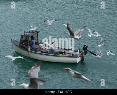 Una barca da pesca che entrano in porto a Looe Cornwall con una folla di gabbiani Foto Stock