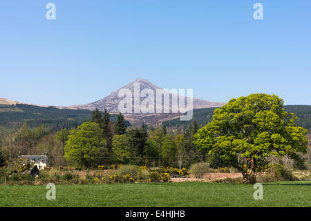 Goatfell sull'isola di Arran Foto Stock