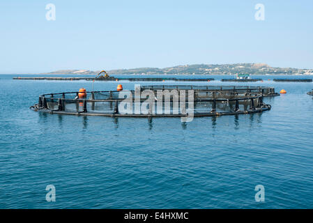 Fattoria di Pesce al largo di Argostoli Kefalonia in Grecia Foto Stock