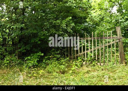 Vecchia staccionata in legno e gate Foto Stock