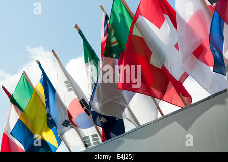 Bandiere di molte nazioni. Foto Stock