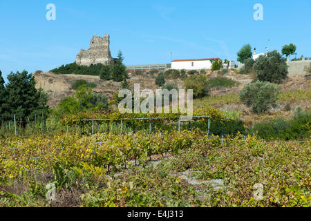 Griechenland, Rodi, Kritinia, Kloster Amartos, (Armathou oder Amarthos) Foto Stock