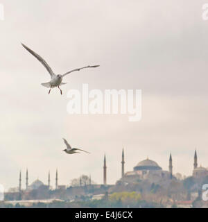 La moschea blu o la moschea di Sultanahmet, Istanbul Foto Stock