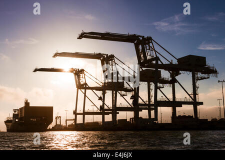 Contenitore di carico nave avvicinando tre giganti gru per container del porto di Oakland intermodale di container terminal Foto Stock