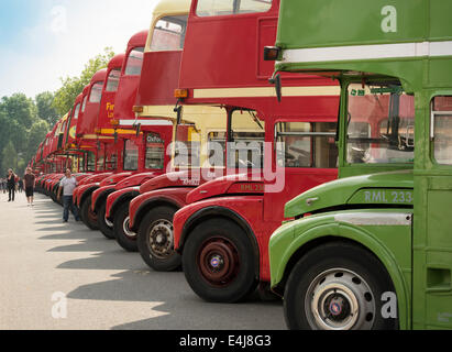 Londra, Regno Unito. 12 luglio 2014. L'autobus Routemaster Festival di Finsbury Park , per commemorare il sessantesimo anniversario della inaugurazione del primo Routemaster. Credito: Mark Mercer/Alamy Live News Foto Stock
