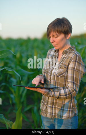 Agronomo femmina con computer tablet nel settore agricolo coltivato campo di mais. Foto Stock