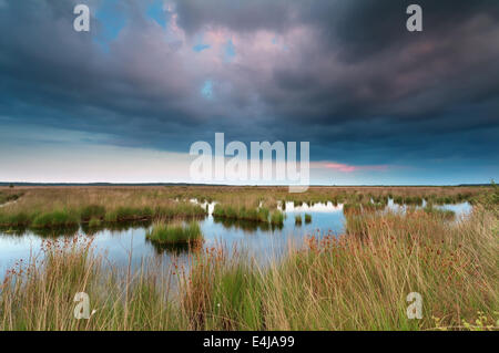 Nuvoloso Tramonto sulla palude, Fochteloerveen, Friesland, Paesi Bassi Foto Stock